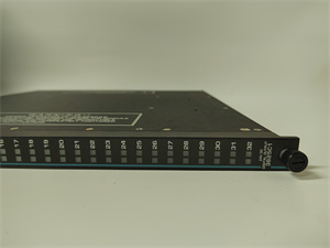 TRICONEX 3625C1