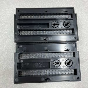 IC200ALG620