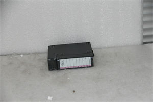 IC693MDL231
