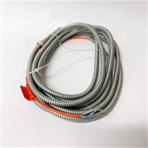 EPRO PR9376010-011 9200-00097