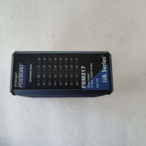 Foxboro FBM217
